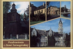 Ziemia Tarnogórska